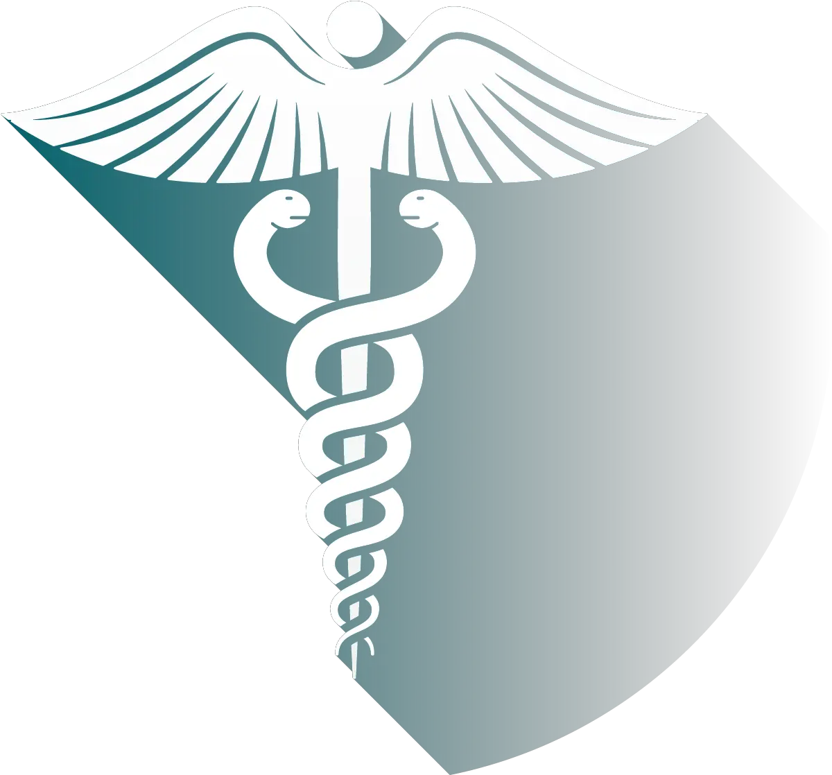 Download Hd Icon Medical Emblem Transparent Png Image Vertical Emblem Icon