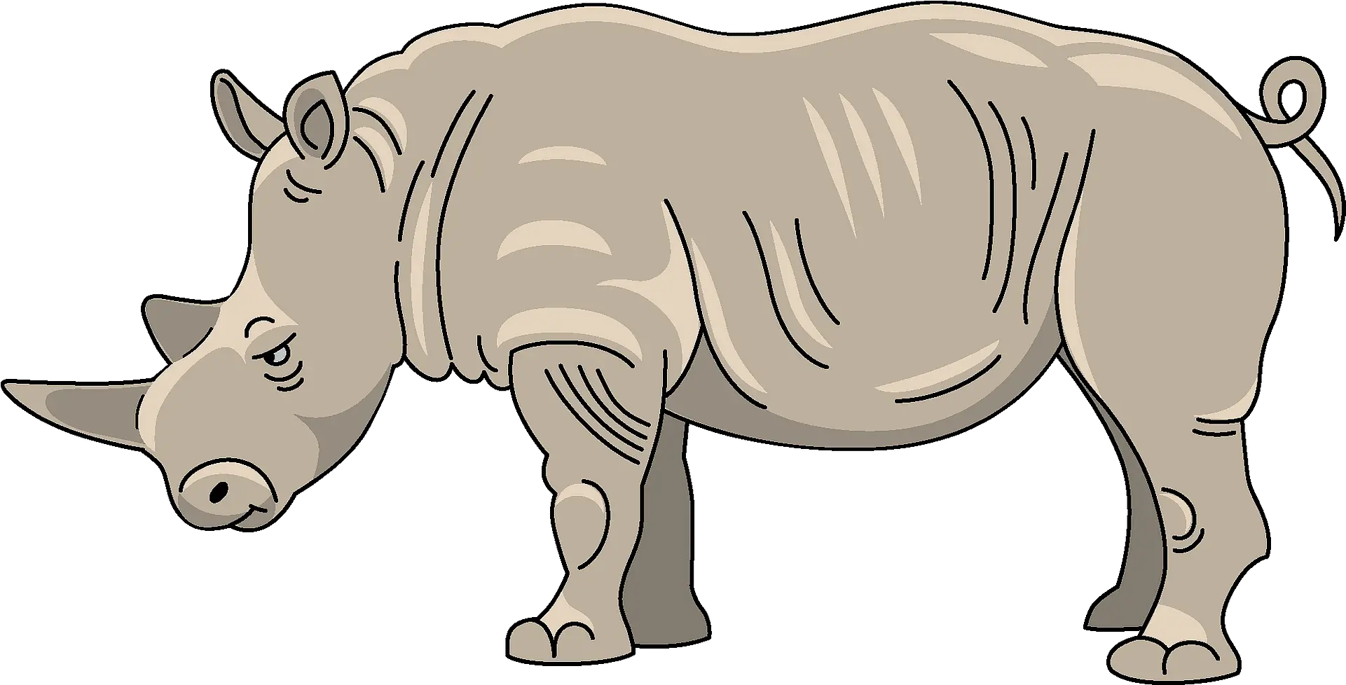 Rhinoceros Clipart Clipart Image Of Rhinoceros Png Rhinoceros Png