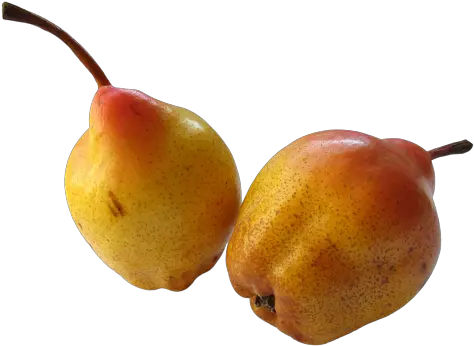 Fresh Ripe Pear Png Image Pngpix Food Pear Png