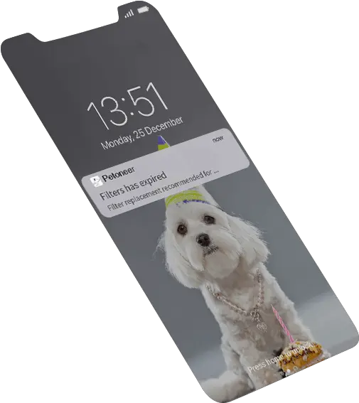 Fountain Pro Companion Dog Png Transparent Dog Filter