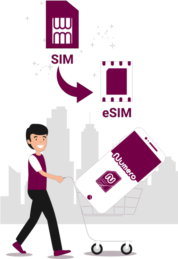 Sim Vs Esim What Is The Difference Numero Esim App Smart Device Png Micro Sim Card Inseted Icon