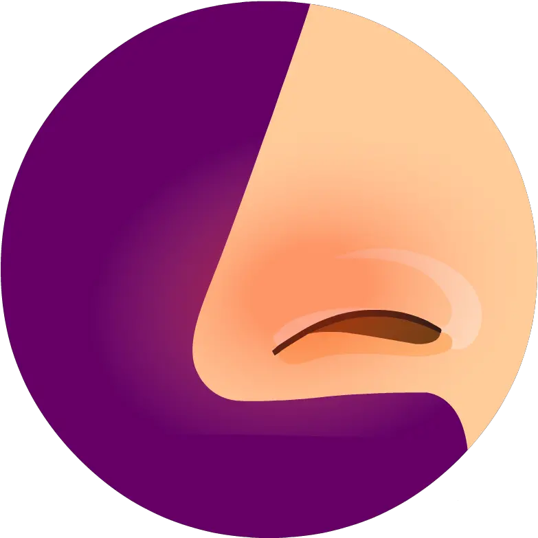 Allergies Brainpop Dot Png Food Allergy Icon