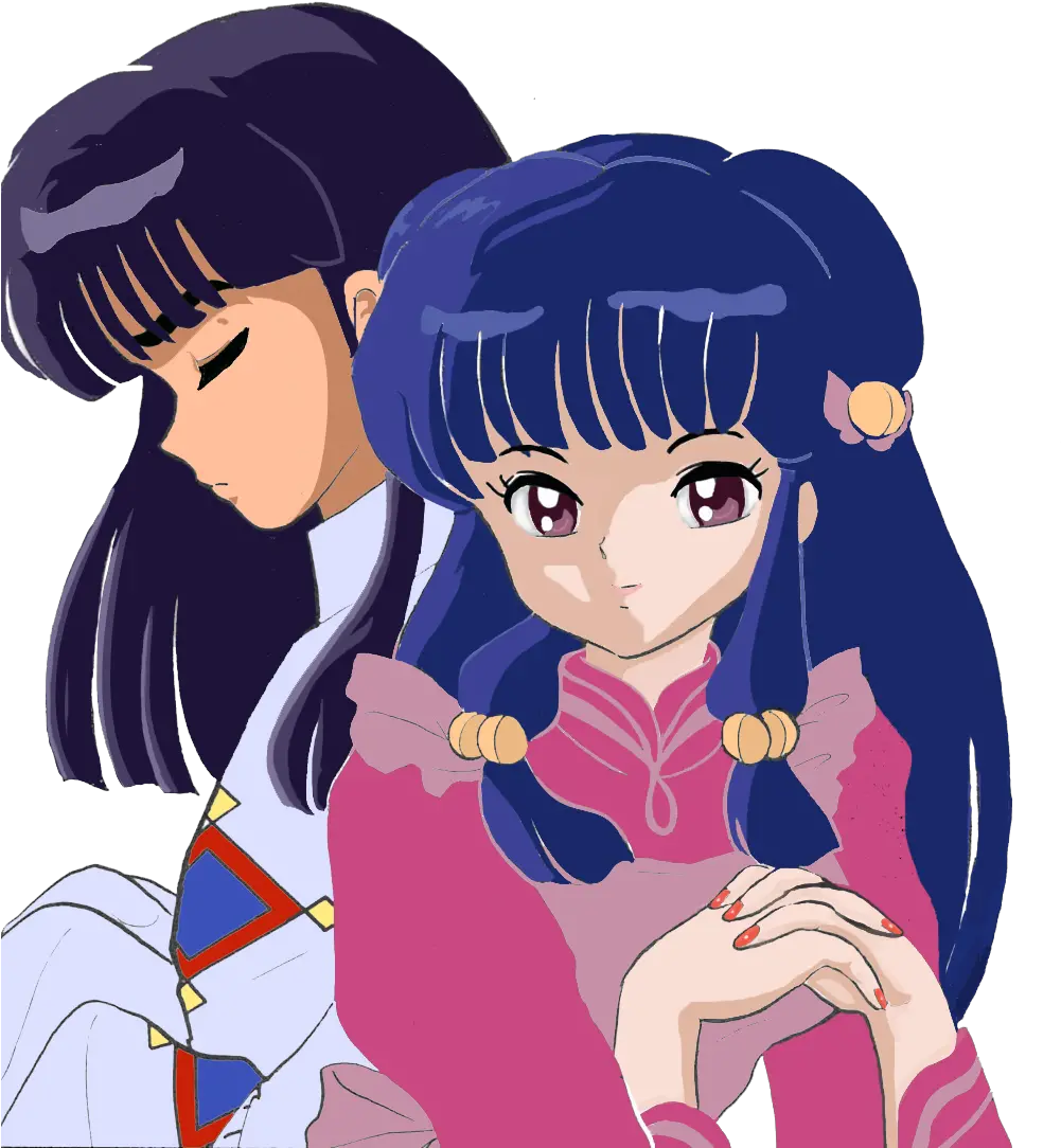 Shampoo U0026 Mousse De Inuyasha And Ranma 12 Foto Ranma 1 2 Shampoo And Mousse Png Inuyasha Transparent