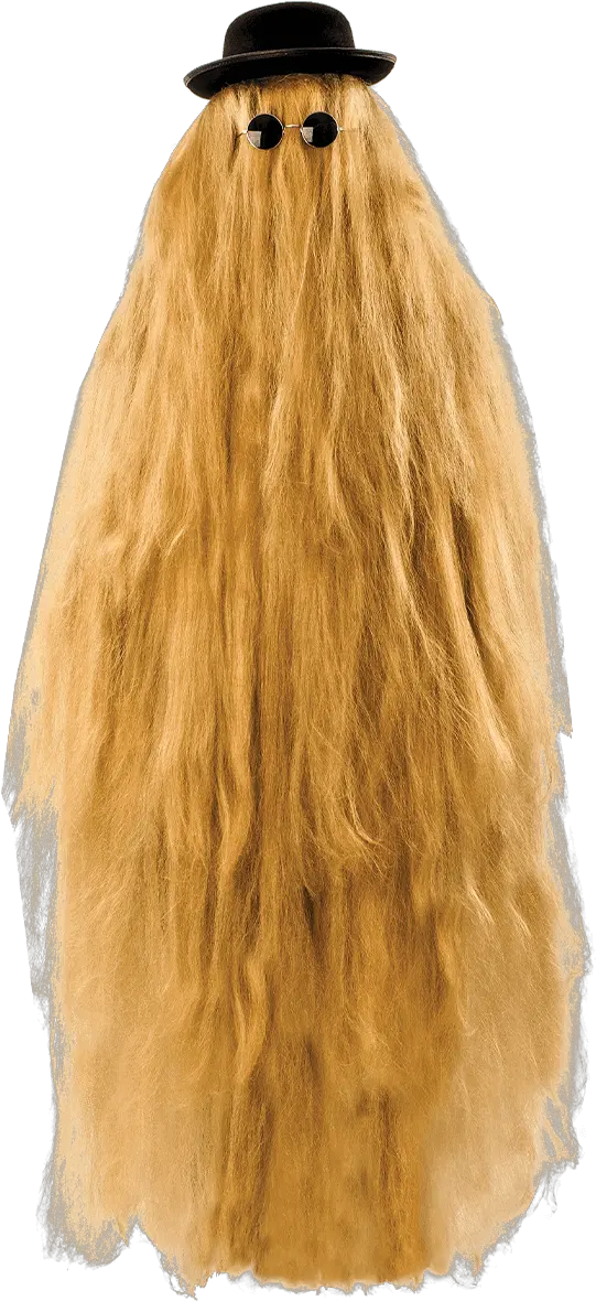 Mens Halloween Costumes U0026 Accessories Fancydresscom Mens Funny Halloween Costumes Png Halloween Costume Png png