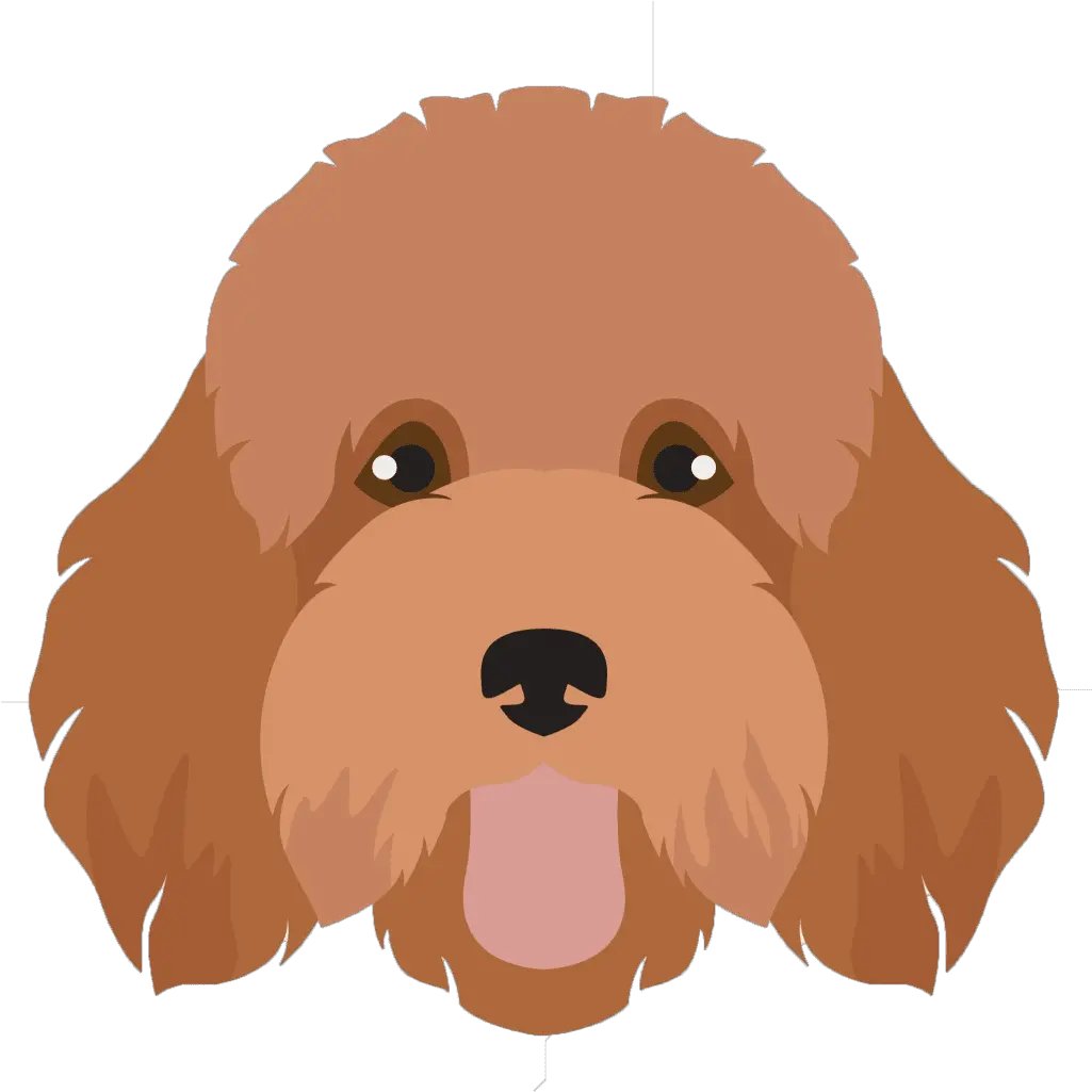 Types Of Doodles Red Barn Doodle Farm Png Poodle Icon