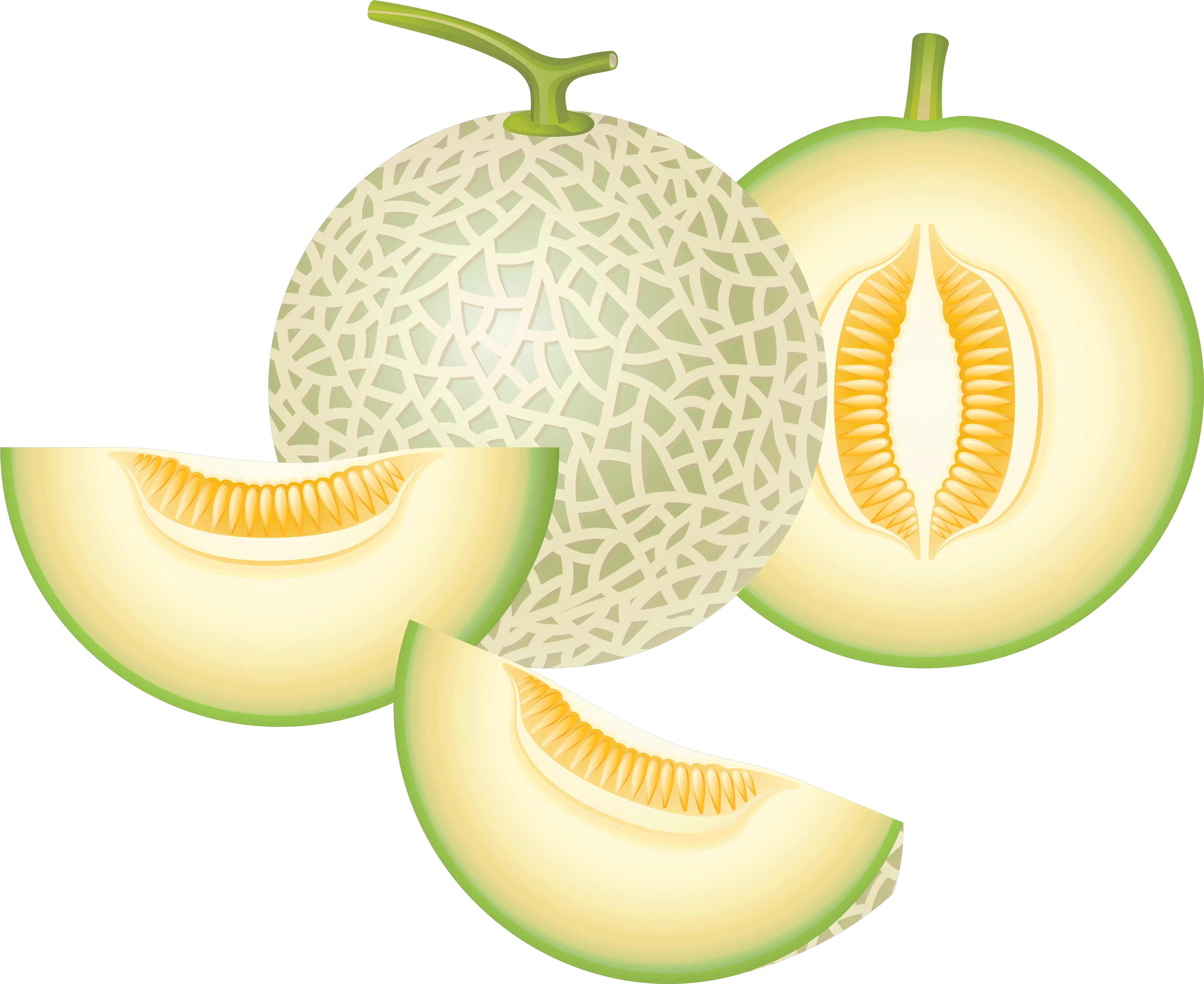 Download Cantaloupe Png Image With Honeydew Melon Clipart Png Cantaloupe Png