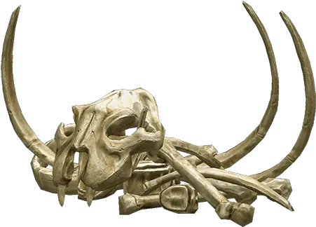 Download Bones Png Transparent 067 1 Animal Bones Png Bones Png