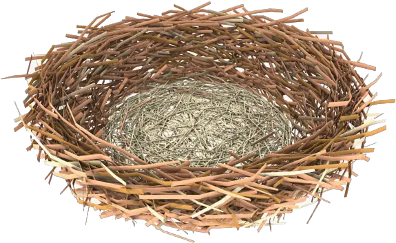 Download Nest Clipart Hq Png Image Nest Clipart Png Nest Png