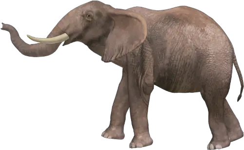 Elephant Png Pic Png Images Of Elephant Elephant Png