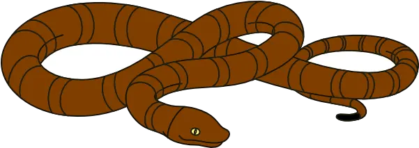 Vector Snake Cartoon Animals Brown Snake Clipart Png Cartoon Snake Png