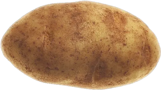 Potato Png Transparent Free Images Yukon Gold Potato Potato Png