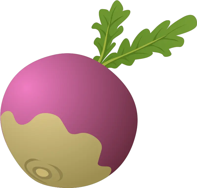 Turnip Clipart Png Clip Art Library Turnip Cliparts Beet Icon