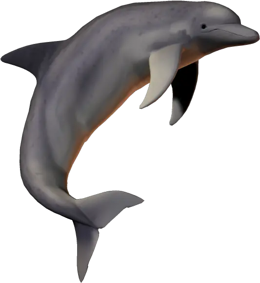 Hd Dolphin Png Fish Picsartallpng Dolphin Pic With No Background Dolphin Transparent Background