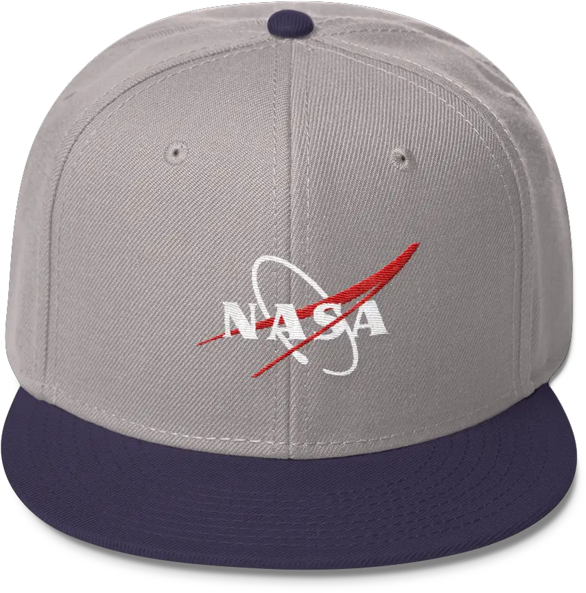 Nasa Vector Logo Cap 2 Tone Color Nasa Png Usps Logo Vector