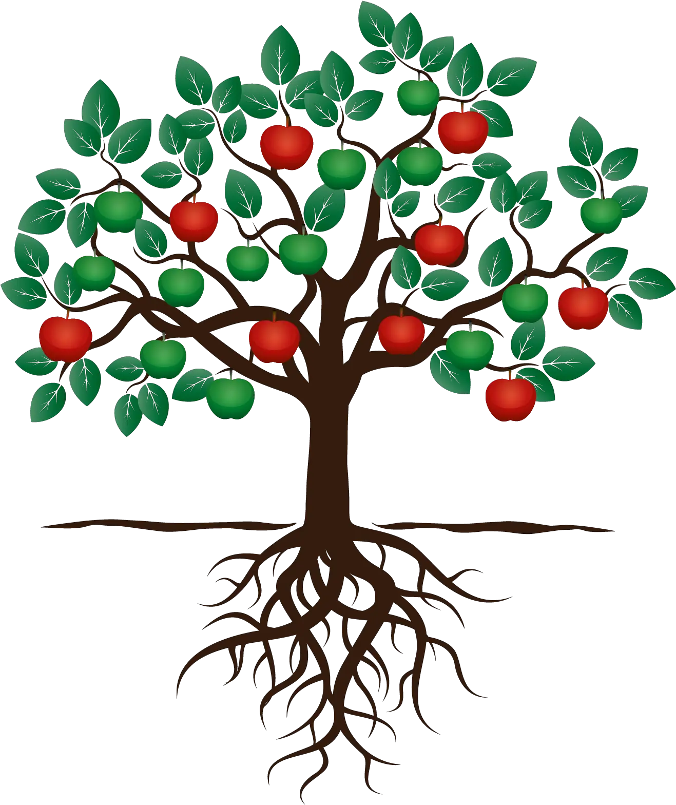 Download Hd Fruit Tree Drawing Apple Root Fruit Tree With Apple Tree With Roots Clipart Png Fruit Tree Png png