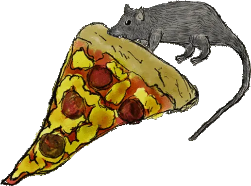 Pizza Rat Ground Squirrels Png Rat Transparent