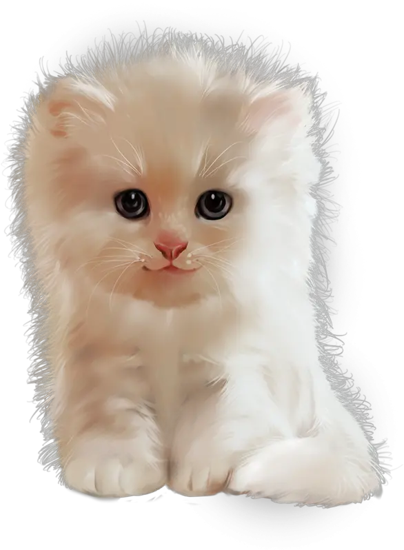 Download Hd Cat Cute Cats Dog Kitten Kawaii Cat Pets Cat Cute Png Cute Cat Transparent png