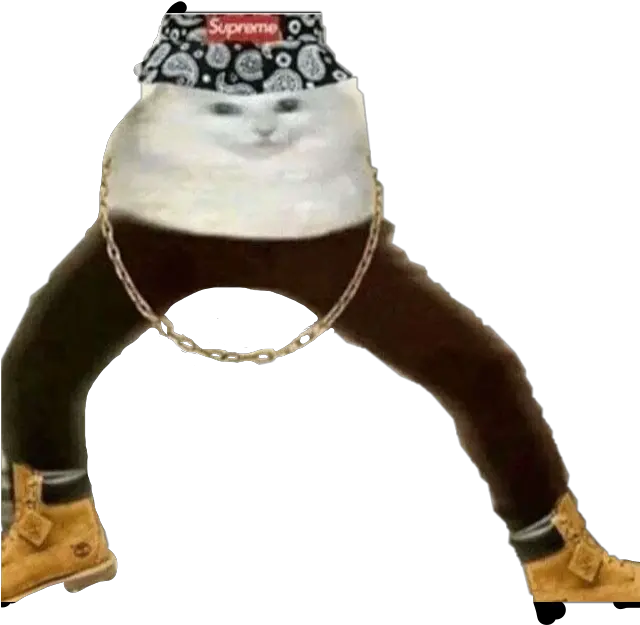 Cat Gangster Chain Timbs Supreme Hat Yes Freetoedit Memes Mood Stickers Snapchat Png Transparent Timbs