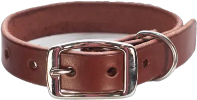 Dog Collar Png Png Dog Collar Collar Png