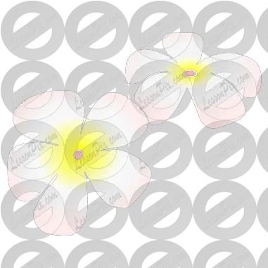 Hawaiian Flowers Stencil For Classroom Therapy Use Great Circle Png Hawaiian Flowers Png