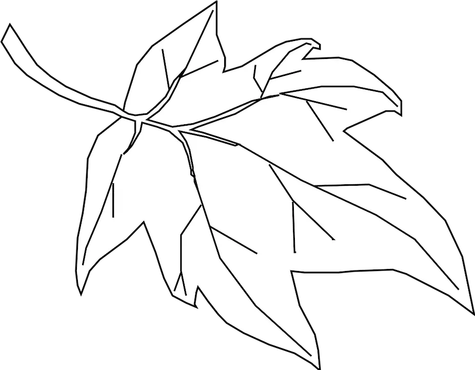 Maple Leaf Outline White Leaf Outline Png Leaf Outline Png png