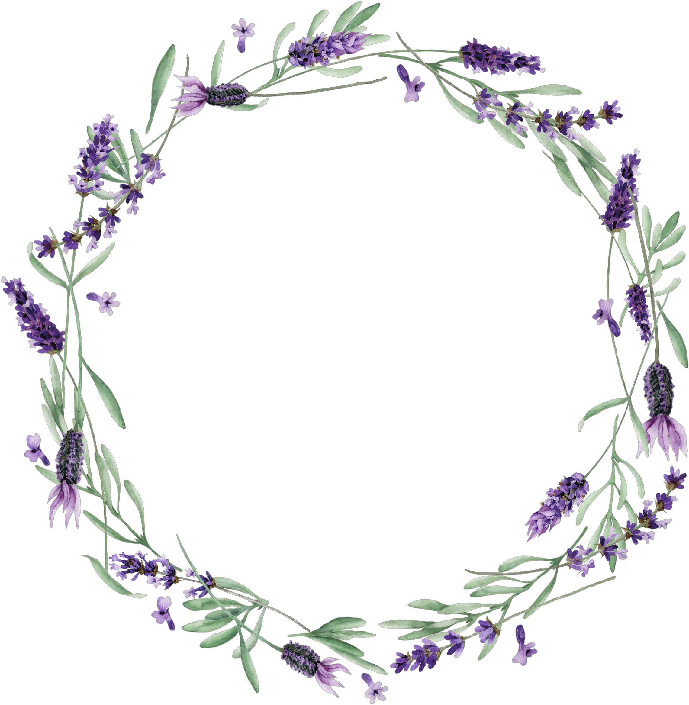 Download Visit Lavendar Wreath Transparent Png Image With Vector Lavender Png Wreath Transparent