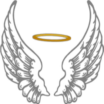 Angel Halo Wing Png 4 Image Angel Halo And Wings Png Angel Halo Transparent Background