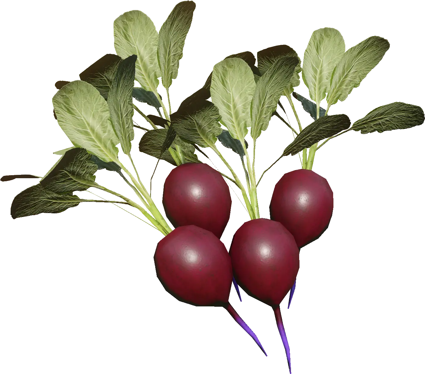 Beets Beet Greens Png Beet Png