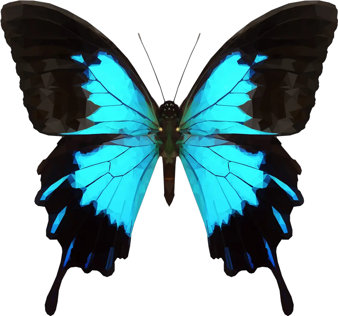 Moth Clipart Tumblr Transparent Png Download Full Size Ulysses Butterfly Moth Transparent Background
