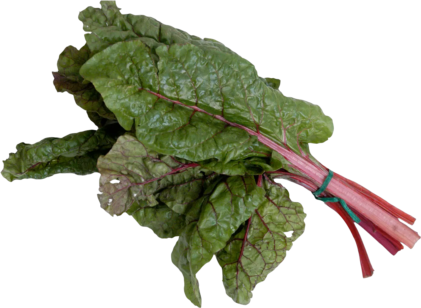 Download Mangold Or Swiss Chard Png Image For Free Beetroot Spinach Png