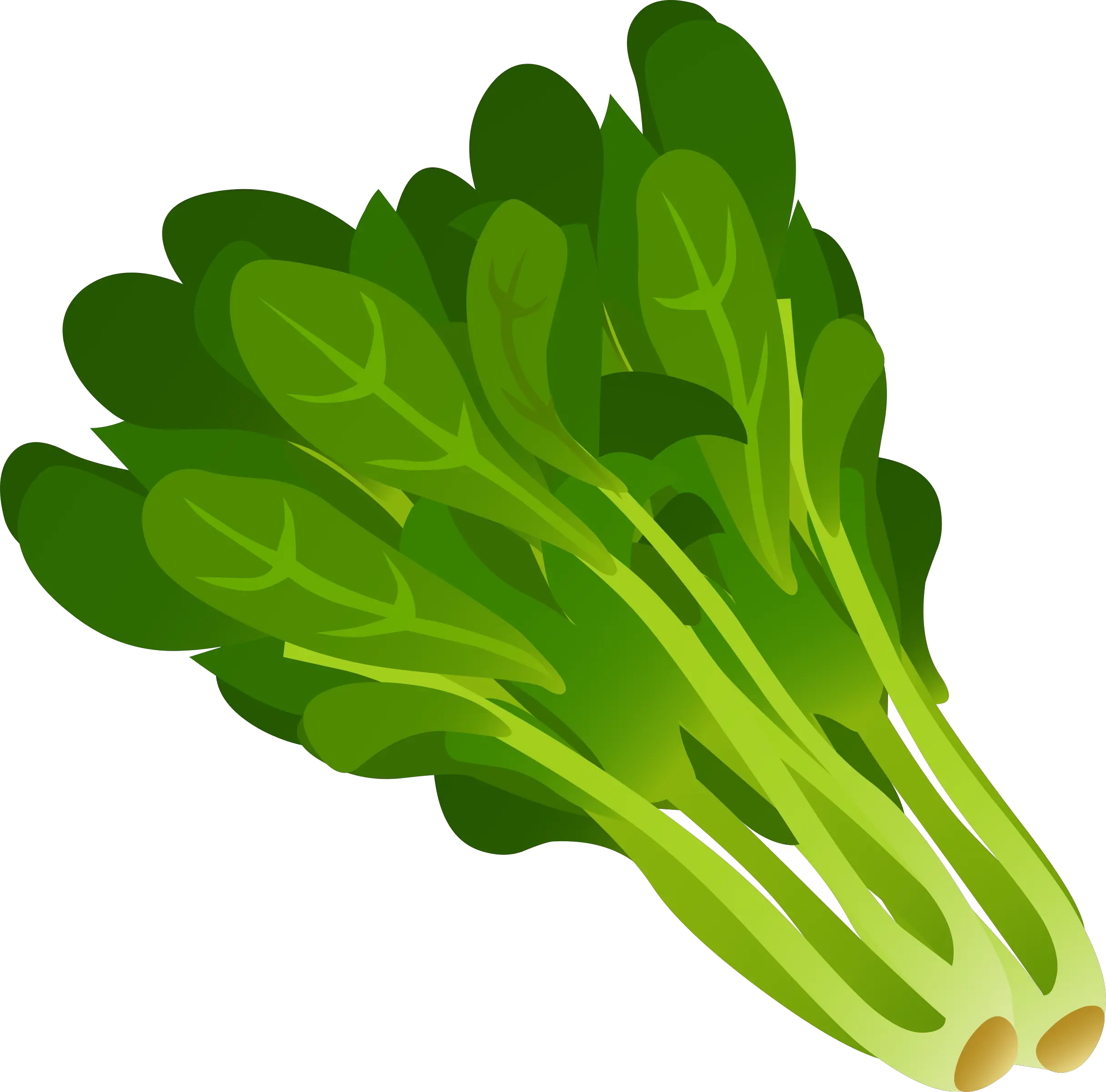 Spinach Png Green Leafy Vegetables Clipart Plant Clipart Png