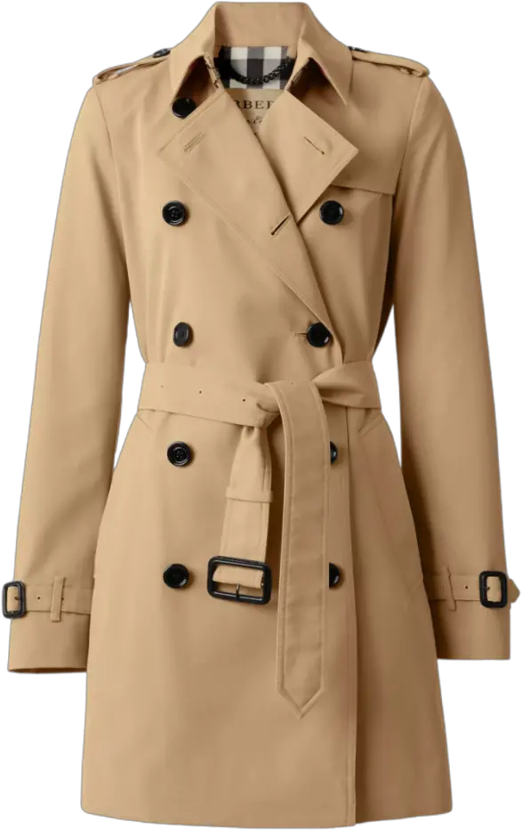 Save Vs Splurge Designer Inspired Pieces For Fall Maggie Harbourne Trench Burberry Burberry Harbourne Png Burberry Icon