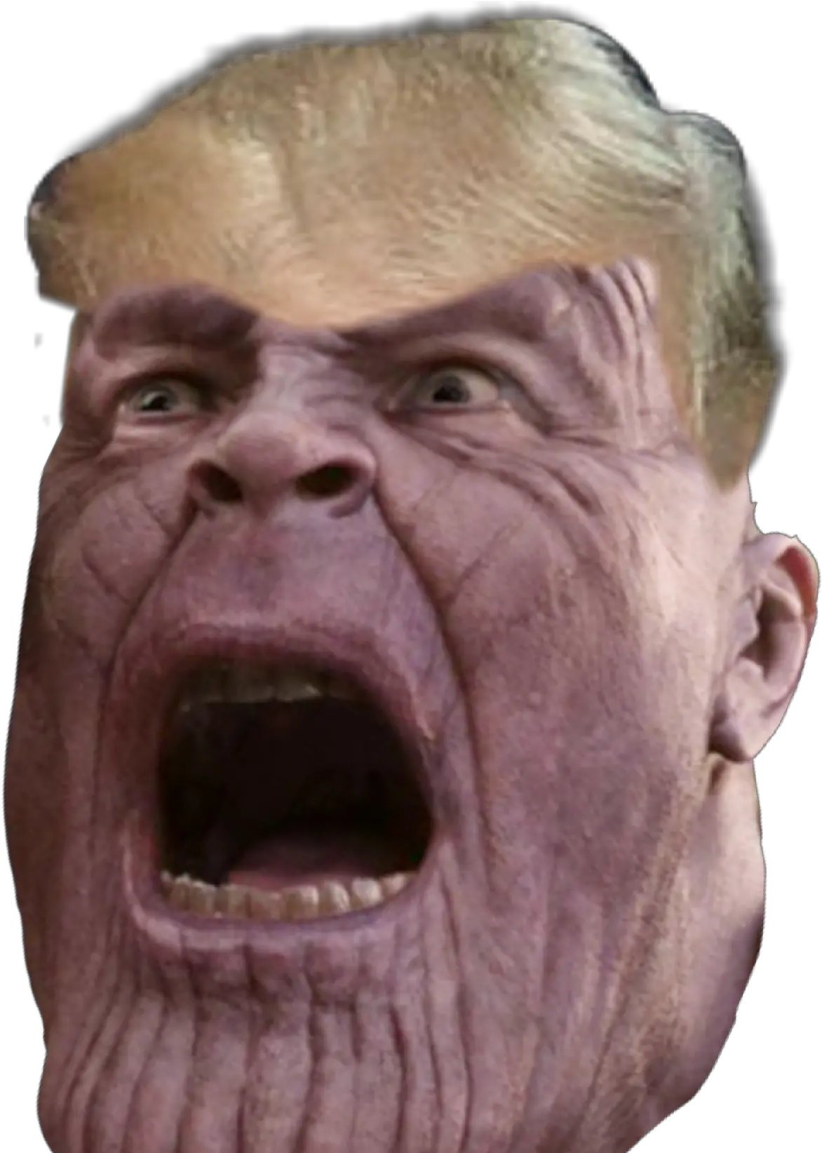 Thanos Donaldtrump Heheh Sticker By Mr Meme Thanos Head Transparent Background Png Thanos Head Png