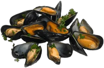 Cooked Mussels With Parsley Transparent Mussels Png Seashells Png