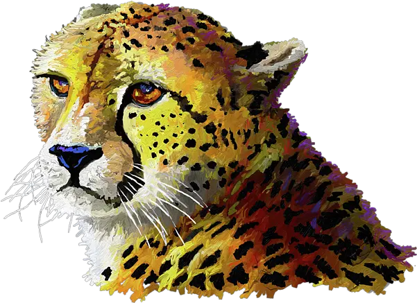 Cheetah Kids T Shirt Wildlife Png Cheetah Transparent