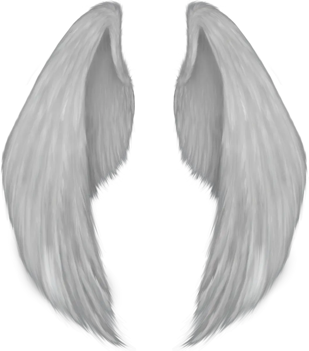 Angel Wing Drawing Wings Png Download 10611201 Free Transparent Background Angel Wings Png Wing Png