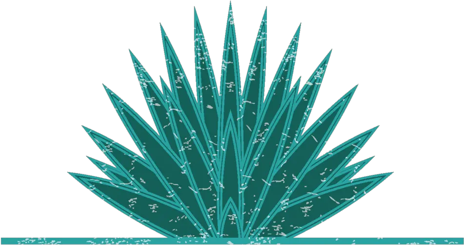 Download Hd Agave Mock 2018 Agave Png Agave Png