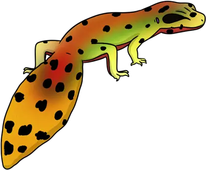 Leopard Gecko Leopard Gecko Transparent Pg Png Leopard Gecko Png