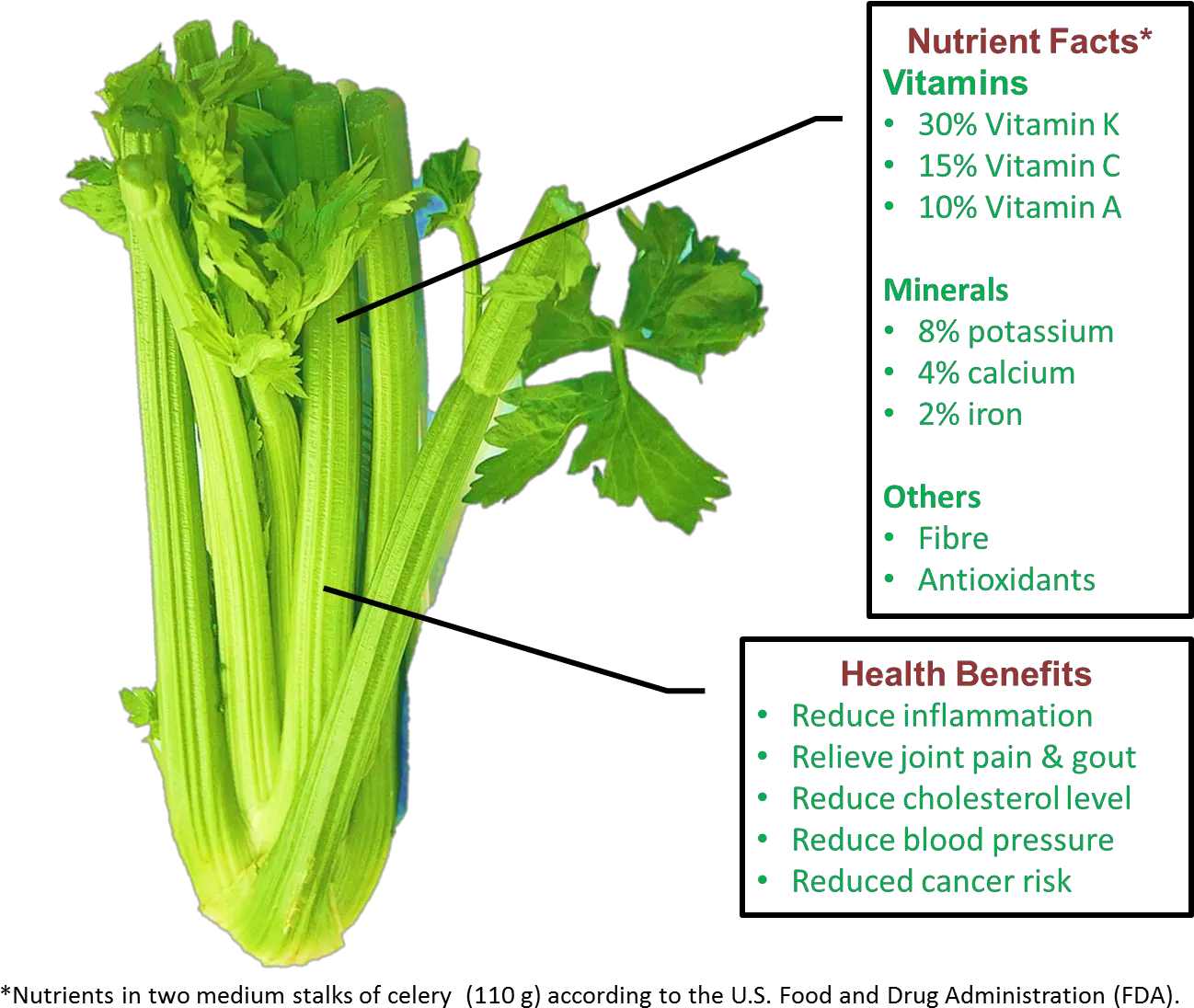 Dosinghealth U2013 Dosing Health Png Celery