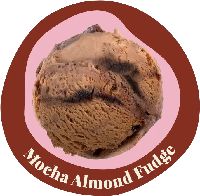 Mocha Almond Fudge U2014 New Zealand Natural Png