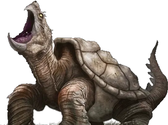 Download Giant Snapping Turtle Png Galápagos Tortoise Turtle Png
