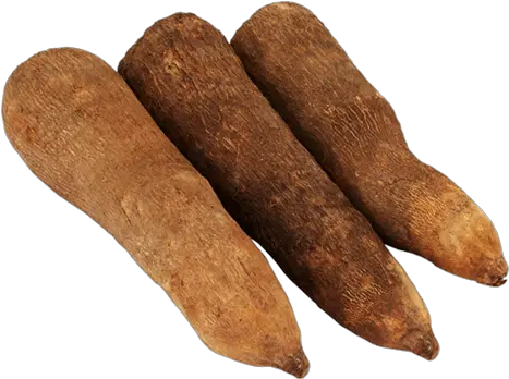 Tubers Of Yam Png Transparent Image Yams Png Yam Png