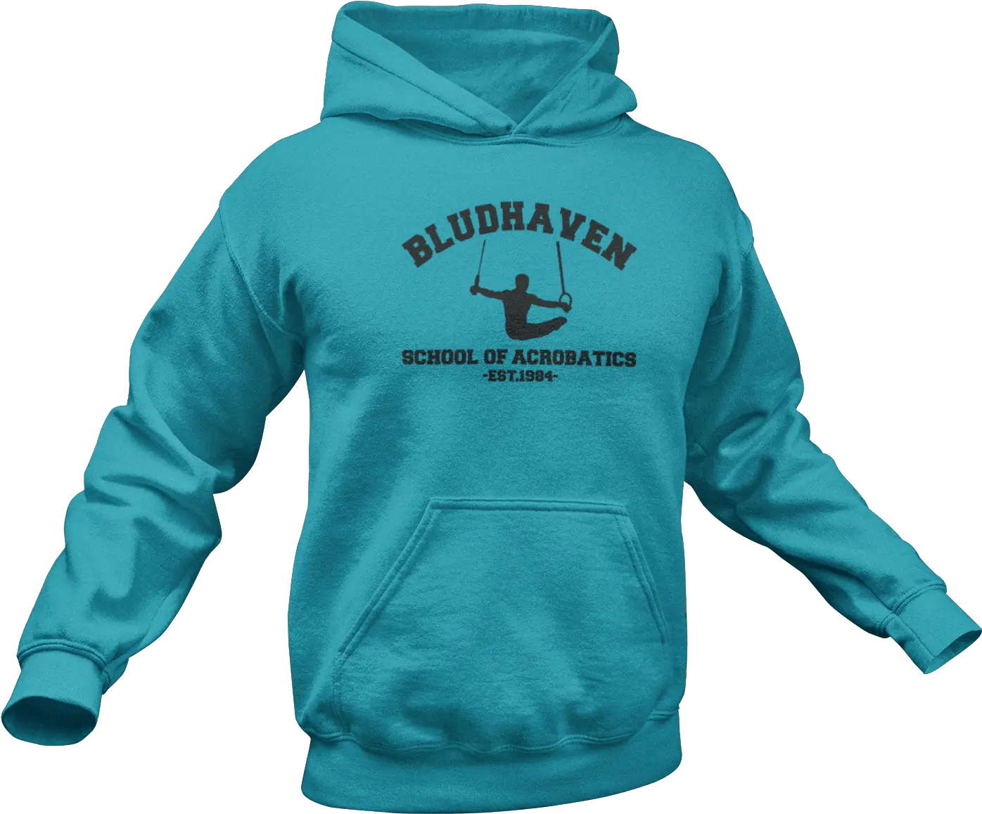 Nightwing Hoodie Bludhaven School Of Acrobatics Unisex Adult Hoodie Rocket Raccoon Hoodie Png Nightwing Png
