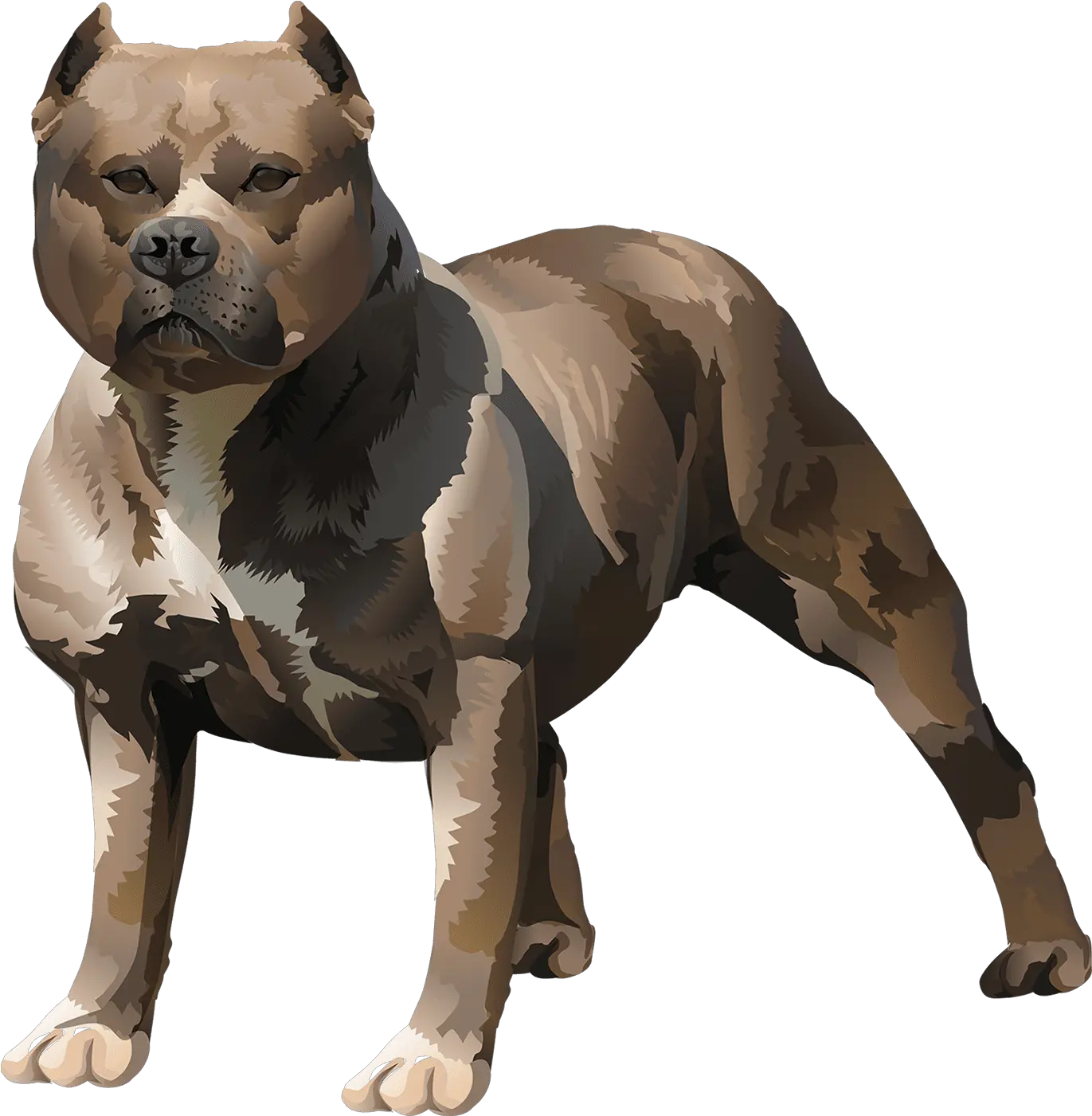 Pit Bull T Shirt Vibrant Vector American Pit Bull Terrier Png Pit Bull Icon