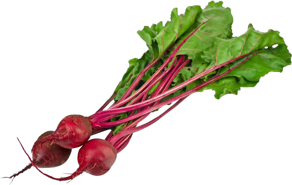 Download Beet Png Image For Free Beets Png Beet Png