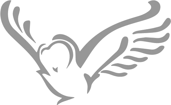 Barn Owl Eagle Png Owl Logo