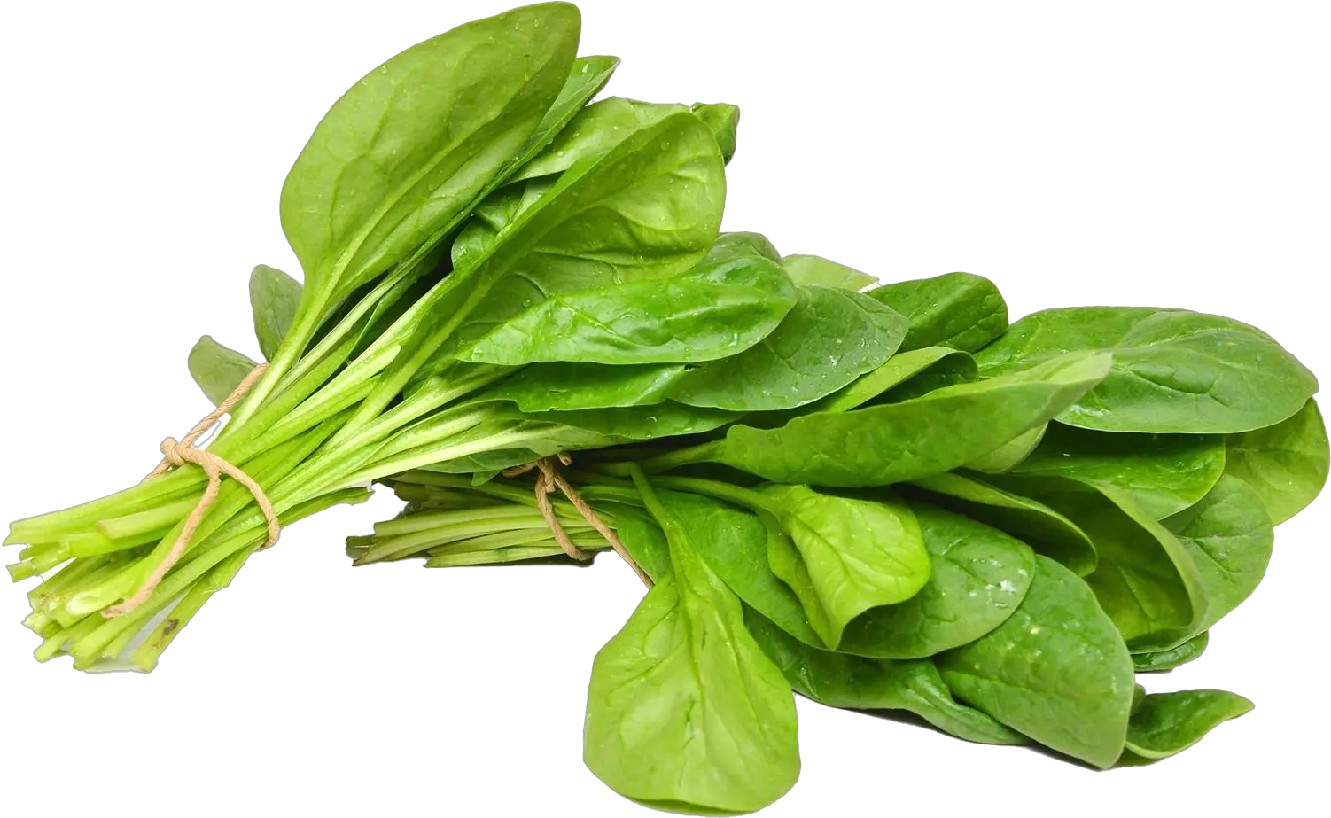 Spinach Png Free Image Palak Vegetable Spinach Png
