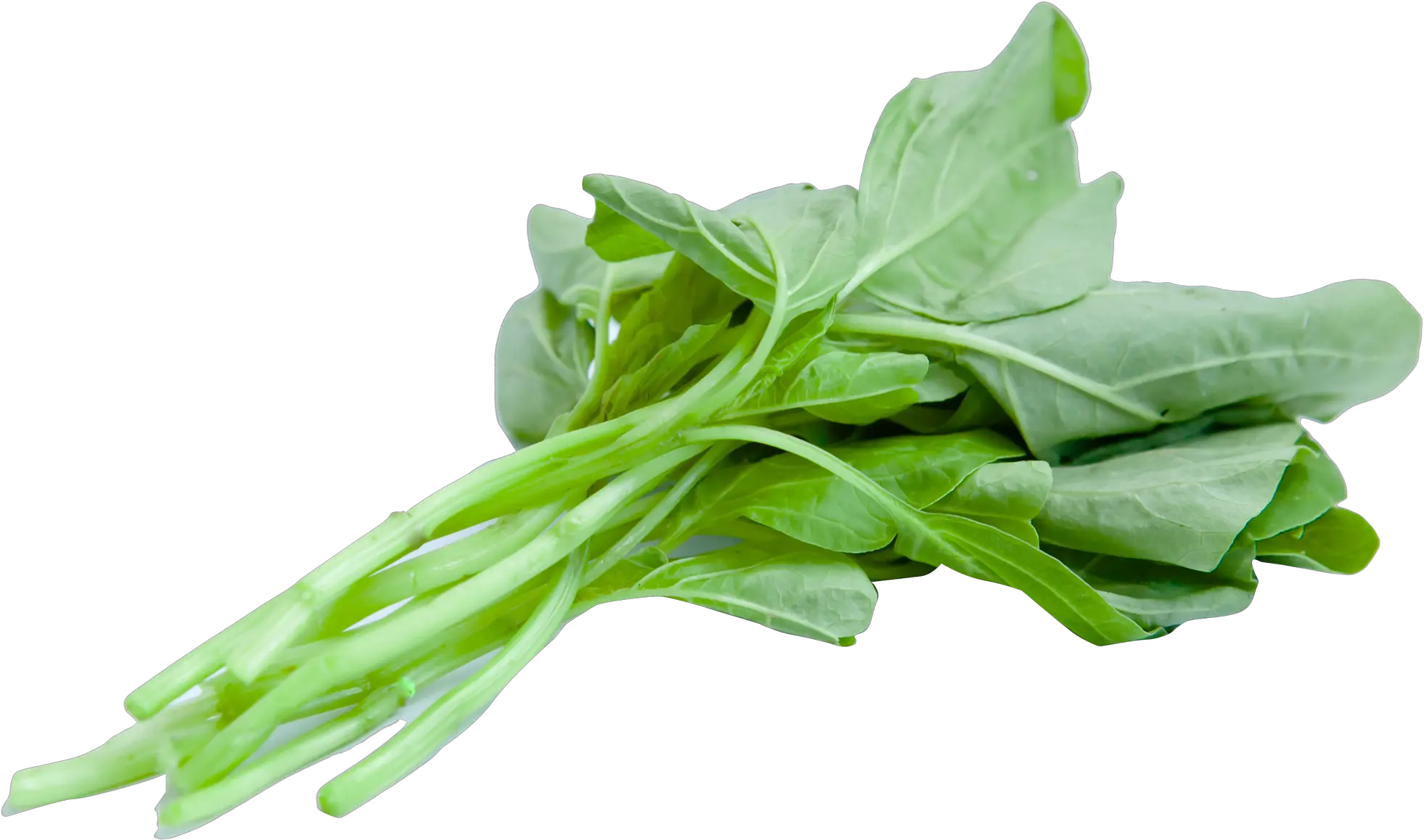 Download Chinese Spinach Png Image For Free Spinach Png Spinach Png