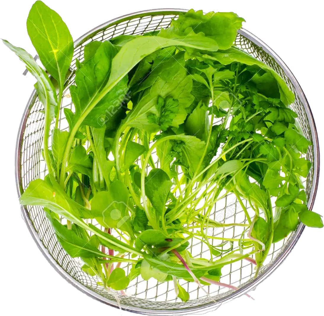 Download Vegetable Green Leaves Png Water Spinach Green Leaves Png