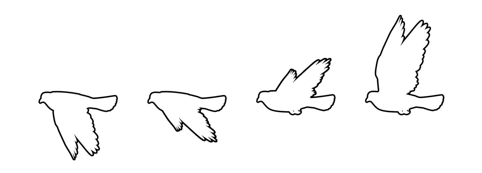 Vector Sketching Bird Flying Bird Silhouette White Png Birds Flying Png png